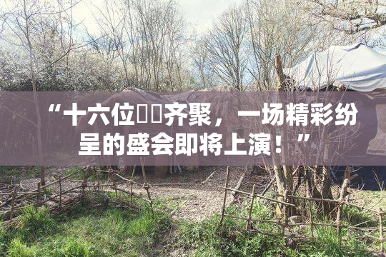 “十六位妺妺齐聚，一场精彩纷呈的盛会即将上演！”