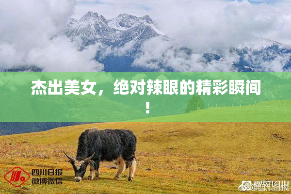 杰出美女，绝对辣眼的精彩瞬间！