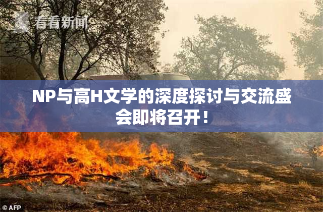 NP与高H文学的深度探讨与交流盛会即将召开！