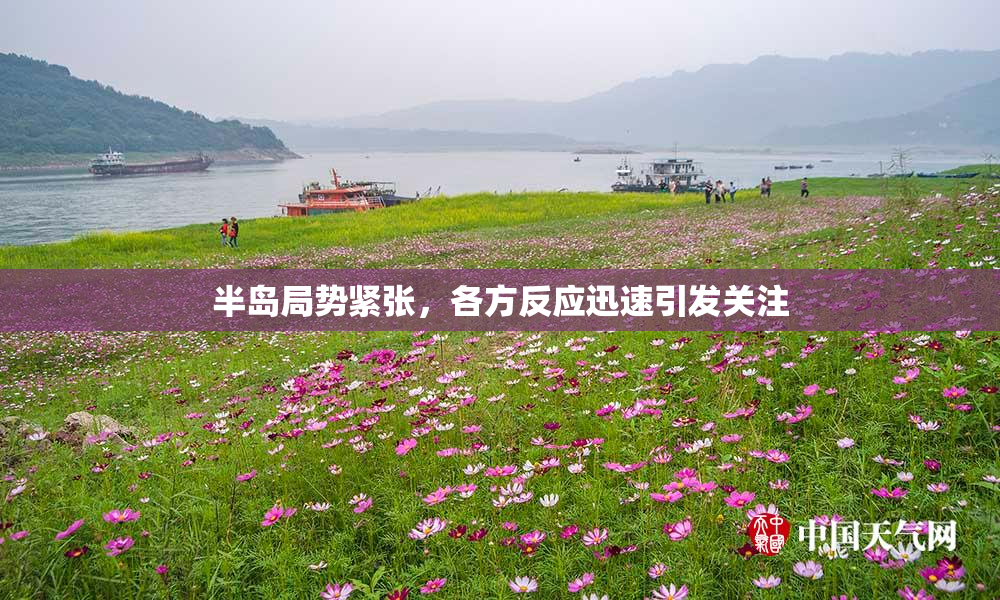 半岛局势紧张，各方反应迅速引发关注