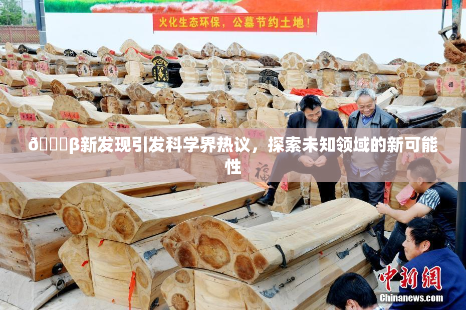 🔞β新发现引发科学界热议，探索未知领域的新可能性