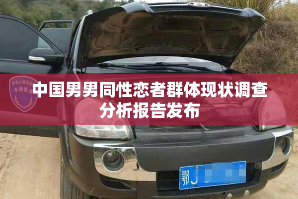 中国男男同性恋者群体现状调查分析报告发布