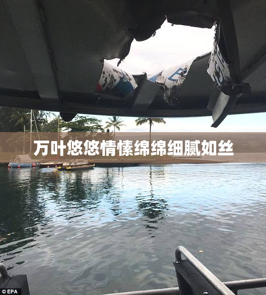 万叶悠悠情愫绵绵细腻如丝