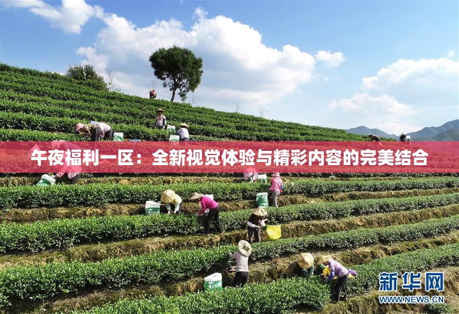 午夜福利一区：全新视觉体验与精彩内容的完美结合