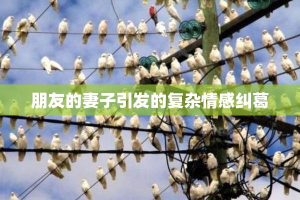 朋友的妻子引发的复杂情感纠葛