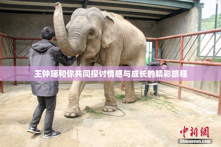 王钟瑶和你共同探讨情感与成长的精彩旅程