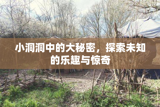 小洞洞中的大秘密，探索未知的乐趣与惊奇