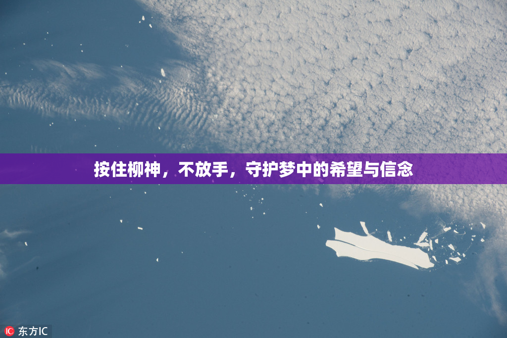 按住柳神，不放手，守护梦中的希望与信念