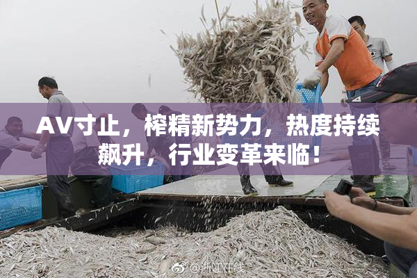AV寸止，榨精新势力，热度持续飙升，行业变革来临！