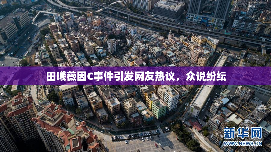 田曦薇因C事件引发网友热议，众说纷纭