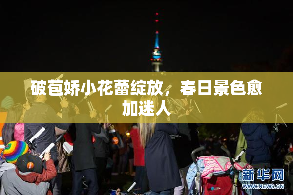 破苞娇小花蕾绽放，春日景色愈加迷人