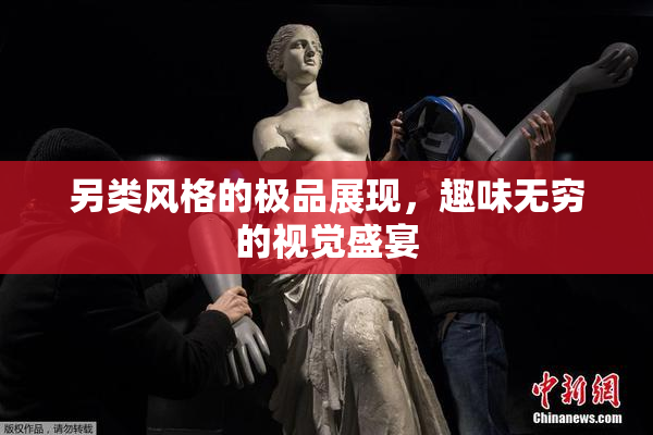 另类风格的极品展现，趣味无穷的视觉盛宴