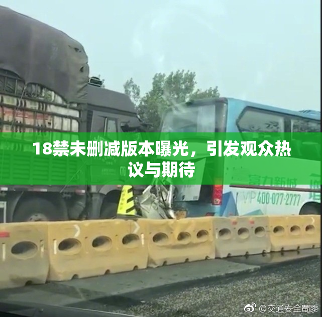 18禁未删减版本曝光，引发观众热议与期待