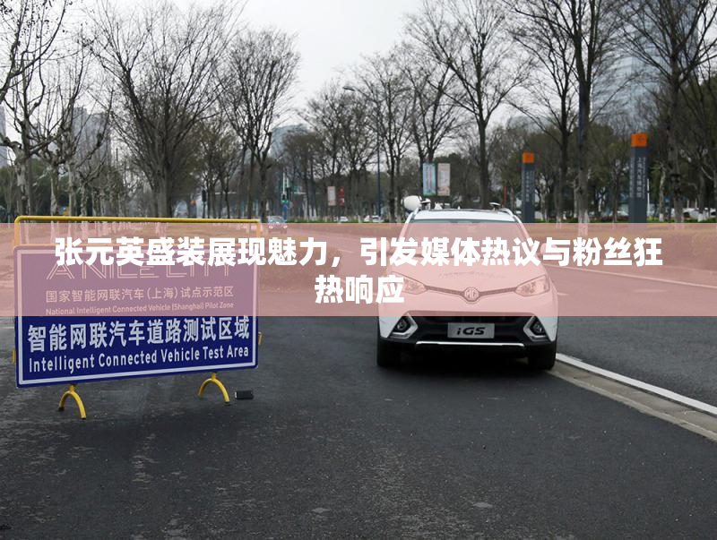 张元英盛装展现魅力，引发媒体热议与粉丝狂热响应