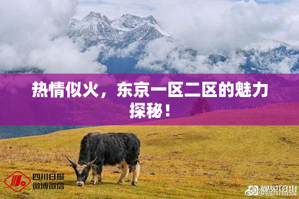热情似火，东京一区二区的魅力探秘！