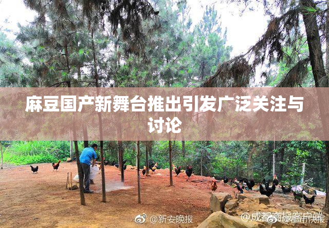 麻豆国产新舞台推出引发广泛关注与讨论