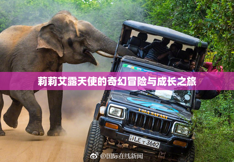 莉莉艾露天使的奇幻冒险与成长之旅