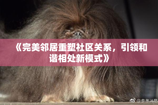 《完美邻居重塑社区关系，引领和谐相处新模式》