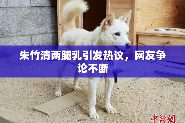 朱竹清两腿乳引发热议，网友争论不断