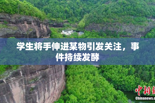 学生将手伸进某物引发关注，事件持续发酵