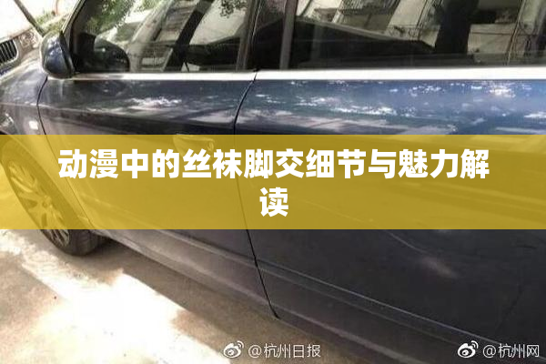 动漫中的丝袜脚交细节与魅力解读