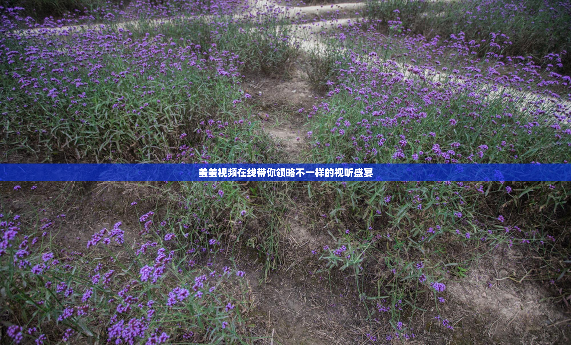 羞羞视频在线带你领略不一样的视听盛宴