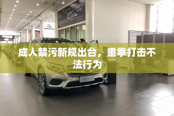 成人禁污新规出台，重拳打击不法行为