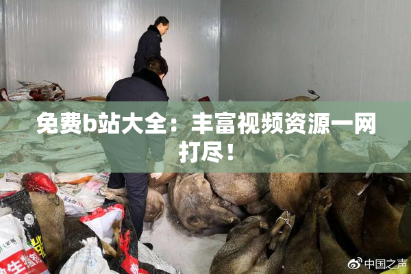 免费b站大全：丰富视频资源一网打尽！