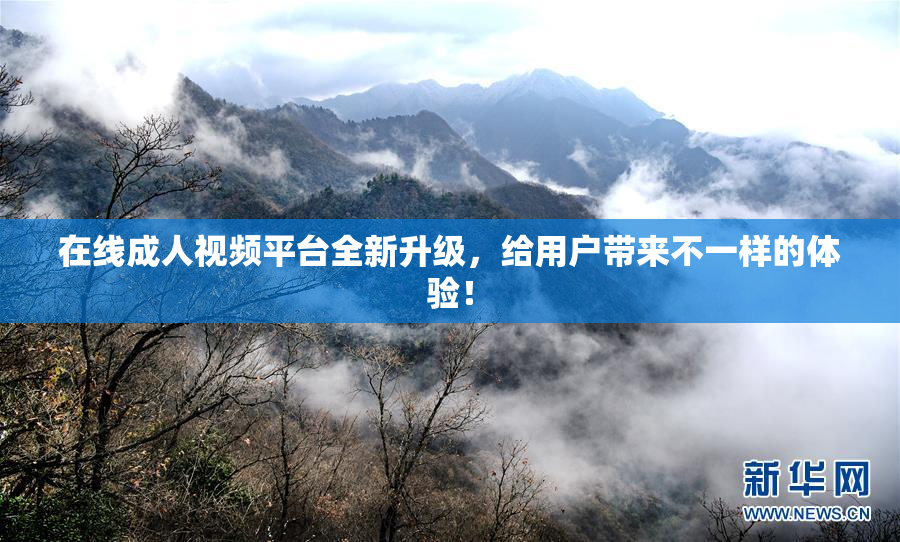 在线成人视频平台全新升级，给用户带来不一样的体验！