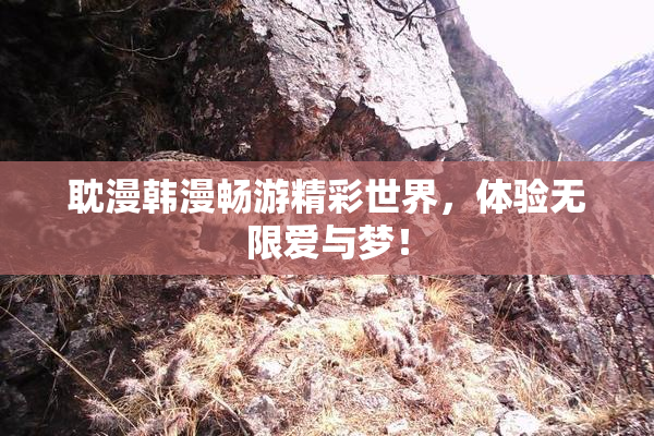 耽漫韩漫畅游精彩世界，体验无限爱与梦！