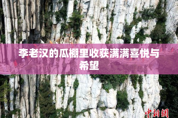 李老汉的瓜棚里收获满满喜悦与希望