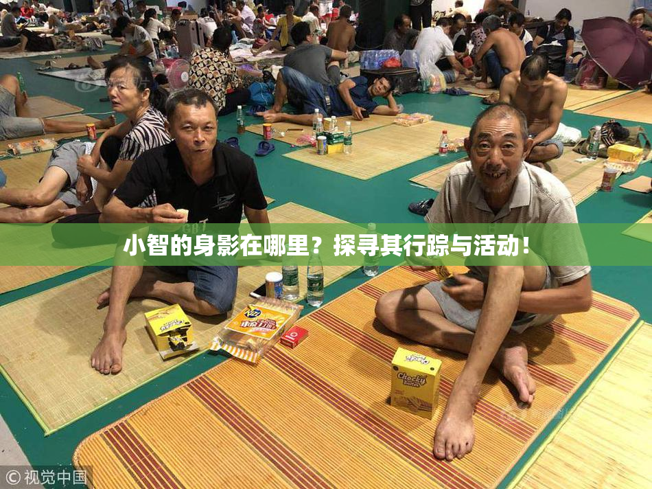 小智的身影在哪里？探寻其行踪与活动！