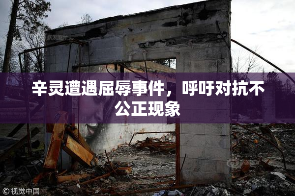 辛灵遭遇屈辱事件，呼吁对抗不公正现象