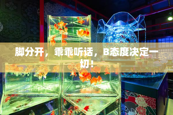 脚分开，乖乖听话，B态度决定一切！