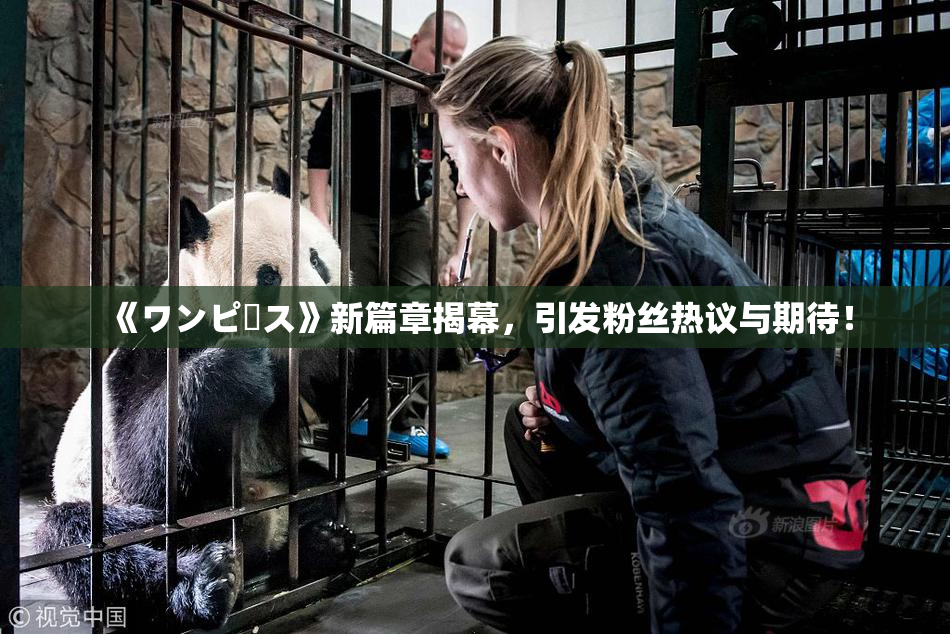 《ワンピース》新篇章揭幕，引发粉丝热议与期待！