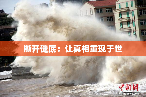 撕开谜底：让真相重现于世