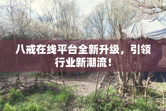 八戒在线平台全新升级，引领行业新潮流！