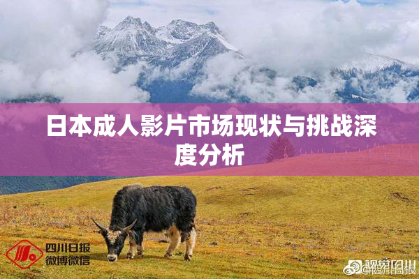 日本成人影片市场现状与挑战深度分析