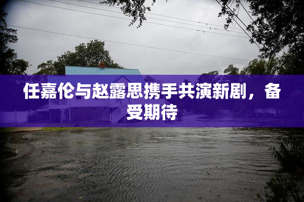 任嘉伦与赵露思携手共演新剧，备受期待