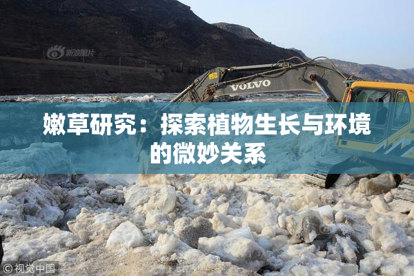 嫩草研究：探索植物生长与环境的微妙关系