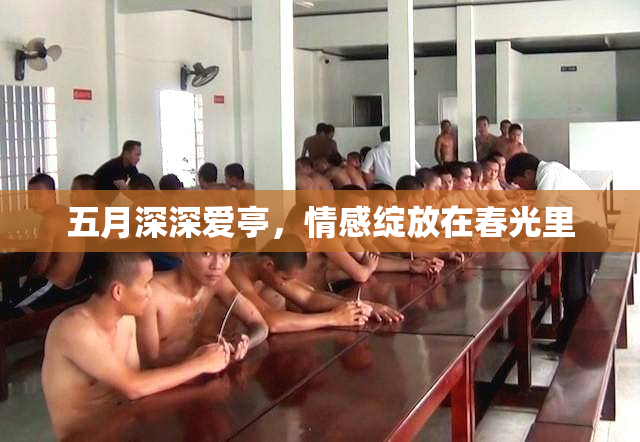 五月深深爱亭，情感绽放在春光里