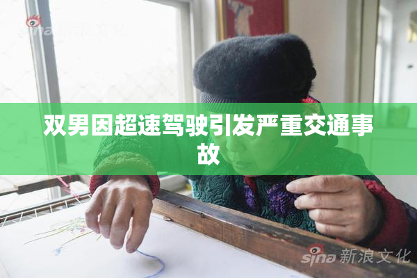 双男因超速驾驶引发严重交通事故