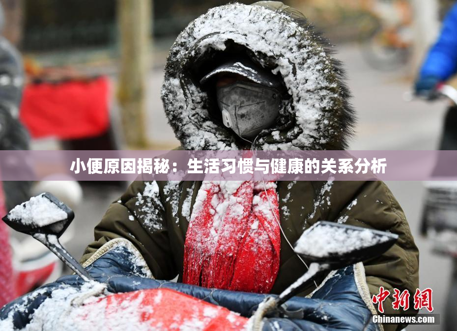 小便原因揭秘：生活习惯与健康的关系分析