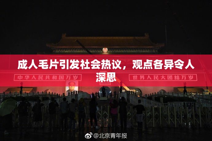 成人毛片引发社会热议，观点各异令人深思