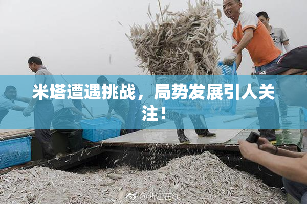 米塔遭遇挑战，局势发展引人关注！