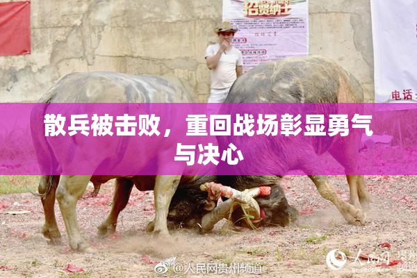 散兵被击败，重回战场彰显勇气与决心