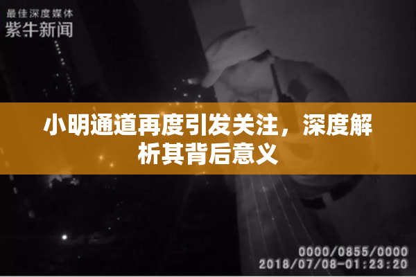 小明通道再度引发关注，深度解析其背后意义