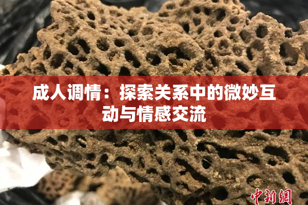 成人调情：探索关系中的微妙互动与情感交流