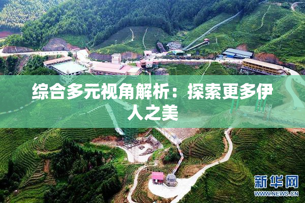 综合多元视角解析：探索更多伊人之美