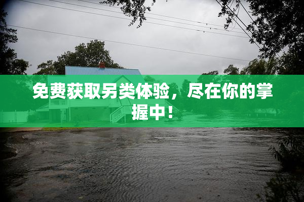 免费获取另类体验，尽在你的掌握中！